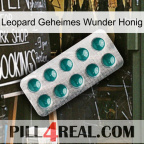 Leopard Secret Miracle Honey dapoxetine1